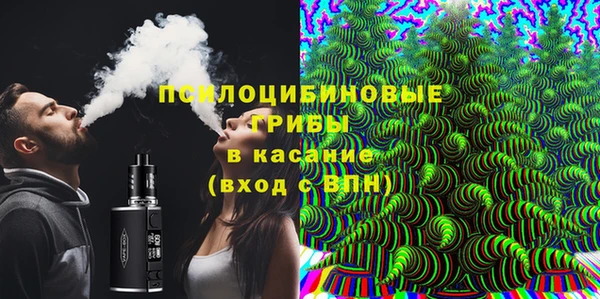 круглые Белокуриха