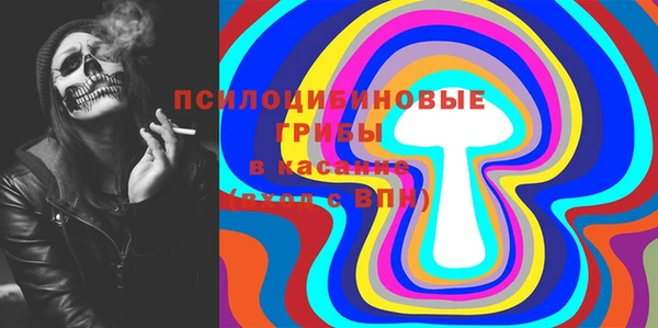 круглые Белокуриха