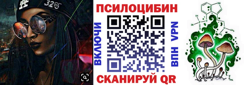 Галлюциногенные грибы Psilocybe  Купить  Тотьма 